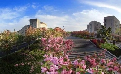 湖北一地級市2所院校合并 原校區劃撥給一所小學