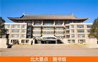 企業在不同發展階段的經營與管理重點