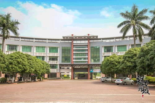 再見，增城電大